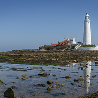 Buy canvas prints of St Mary's Island and Lighthouse in mid summer. by Phill Thornton