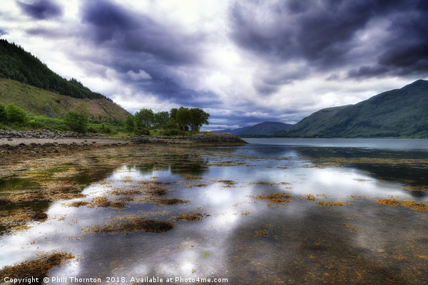 View south down Loch Linnhe Picture Board by Phill Thornton