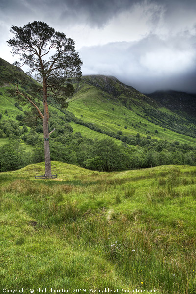 The foot hills of Ben Nevis Picture Board by Phill Thornton