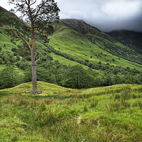 Buy canvas prints of The foot hills of Ben Nevis by Phill Thornton