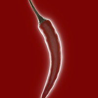 Buy canvas prints of Chilli pepper by Phill Thornton