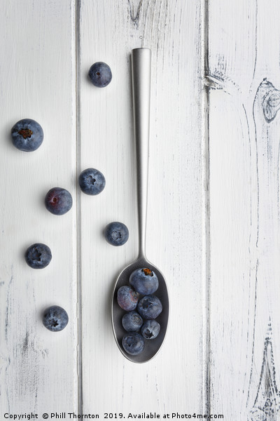blueberries and a silver spoon on distressed white Picture Board by Phill Thornton