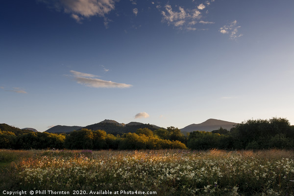 Summer meadows and evening skies, Lake District Picture Board by Phill Thornton