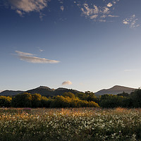 Buy canvas prints of Summer meadows and evening skies, Lake District by Phill Thornton