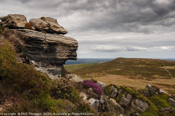Fantastic rock formations of the Simonside Hills  Picture Board by Phill Thornton