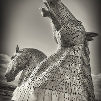 Buy canvas prints of The Kelpies No.2 by Phill Thornton
