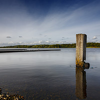 Buy canvas prints of Still waters of the Strathclyde country park by Phill Thornton