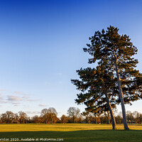 Buy canvas prints of Autumnal sunshine in Markeaton Park. by Phill Thornton