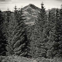 Buy canvas prints of Glenshant Hill and Goatfell, Isle of Arran B&W by Phill Thornton