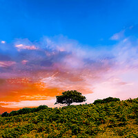 Buy canvas prints of Malvern Sunset by Scott Paul