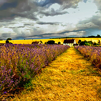 Buy canvas prints of Storm in the Cotswolds by Scott Paul