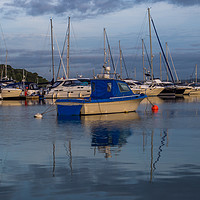 Buy canvas prints of Early morning boats in harbour by Steve Mantell