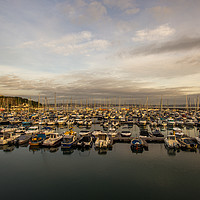 Buy canvas prints of Brixham harbour boats early morning by Steve Mantell