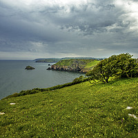 Buy canvas prints of Berry Head nature reserve by Steve Mantell
