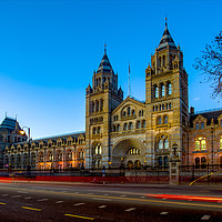 Buy canvas prints of Natural History Museum at Blue Hour by Steve Mantell