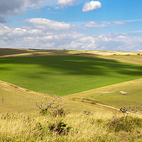 Buy canvas prints of South Downs rolling fields by Steve Mantell