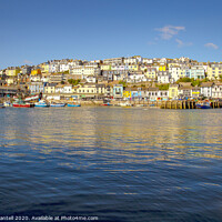 Buy canvas prints of Brixham town houses in early morning sunshine by Steve Mantell