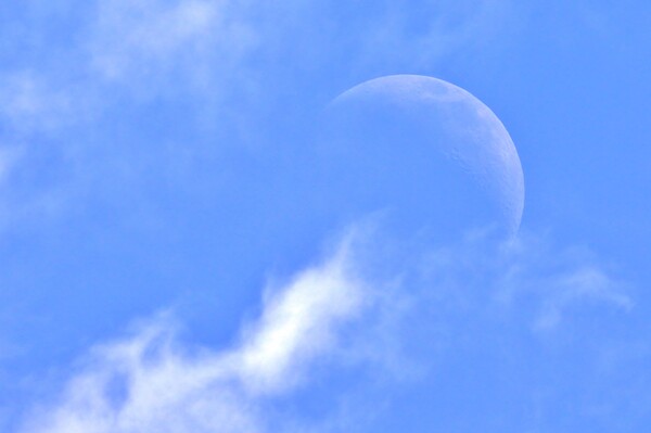 Cloudy Daytime Moon Picture Board by Susan Snow