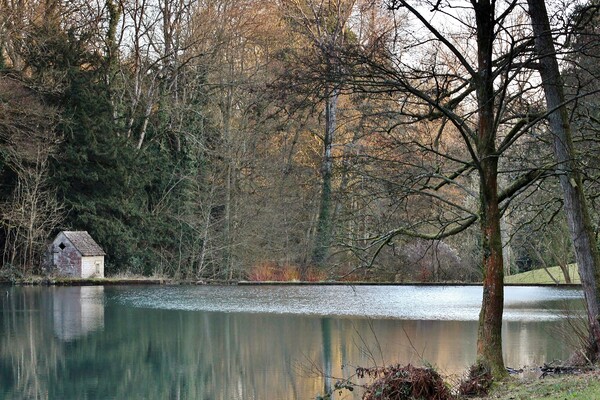 Lake in the Cotswolds Picture Board by Susan Snow