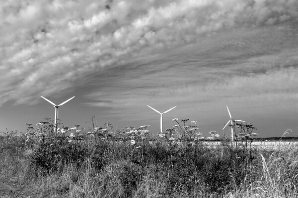 Westmill Wind Farm Picture Board by Susan Snow