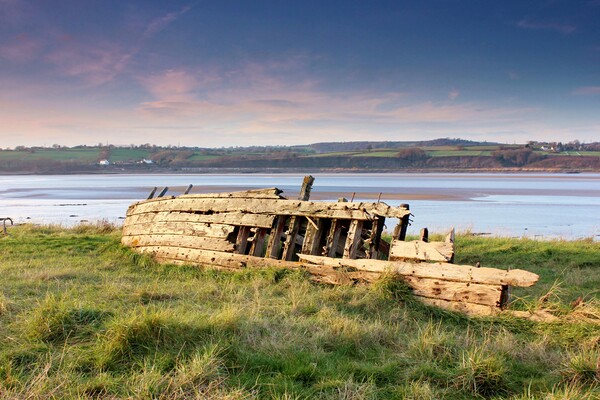 Purton Ships’ Graveyard - Severn Collier Picture Board by Susan Snow