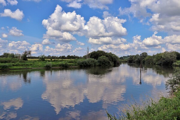 River Severn near Bishop's Norton. Picture Board by Susan Snow