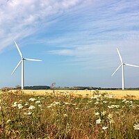 Buy canvas prints of Westmill Wind Farm by Susan Snow