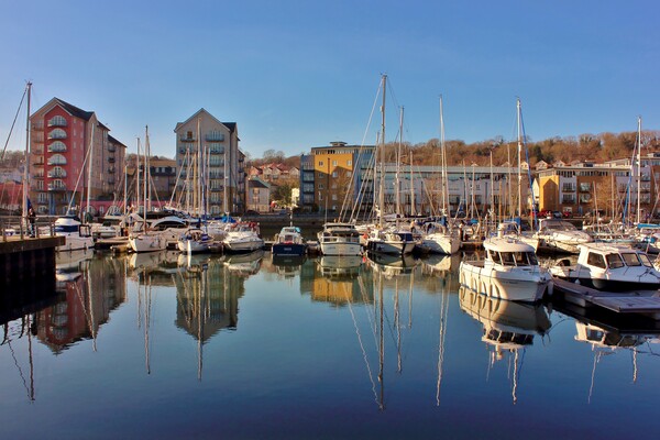 Portishead Marina Picture Board by Susan Snow