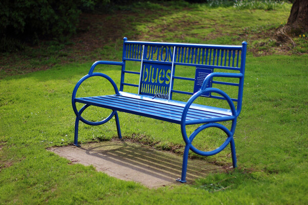  Upton Blues Festival Memorial Bench Picture Board by Susan Snow
