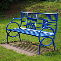 Buy canvas prints of  Upton Blues Festival Memorial Bench by Susan Snow