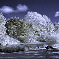 Buy canvas prints of Beckford Lake in Infrared by Susan Snow