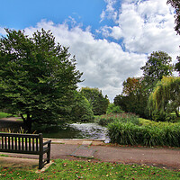 Buy canvas prints of Hatherley Park by Susan Snow