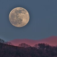 Buy canvas prints of Full Worm Moonrise by Susan Snow