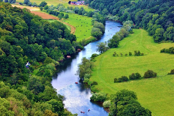 River Wye Picture Board by Susan Snow