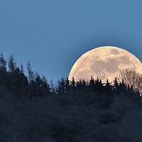 Buy canvas prints of Full Moon rising by Susan Snow
