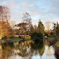 Buy canvas prints of The Lake at Hatherley Park Cheltenham by Susan Snow