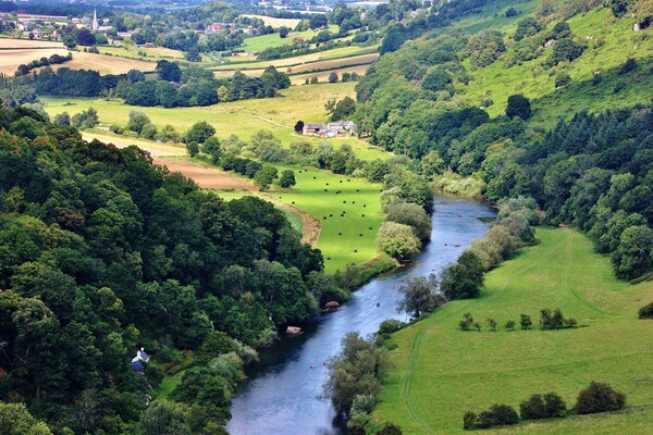 River Wye Picture Board by Susan Snow