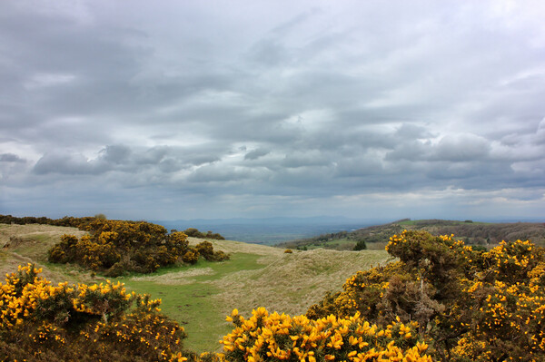 View from Cleeve Common Picture Board by Susan Snow
