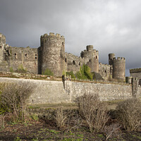 Buy canvas prints of Conwy Castle on the estuary by Mike Hughes