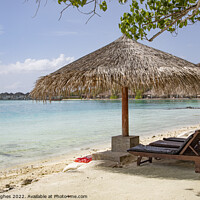 Buy canvas prints of Beach life in the Maldives by Mike Hughes