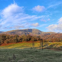 Buy canvas prints of Tarn Hows by Mike Hughes
