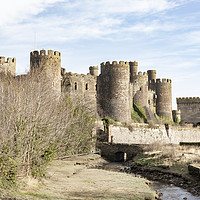 Buy canvas prints of Conwy Castle by Mike Hughes