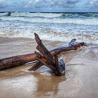 Buy canvas prints of Thai driftwood by Mike Hughes