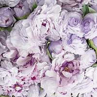 Buy canvas prints of Violet Flowers by Martha Lilia Guzmán Marín