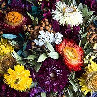 Buy canvas prints of Colorful Flowers by Martha Lilia Guzmán Marín