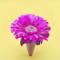 Buy canvas prints of Flower Ice Cream Cone by Martha Lilia Guzmán Marín