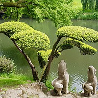 Buy canvas prints of Japanese gardens in the Loire Valley by Penny Martin