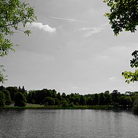 Buy canvas prints of A lake near Buscot, Oxfordshire by Penny Martin