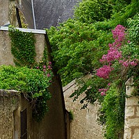 Buy canvas prints of The medieval streets of Chinon, France by Penny Martin