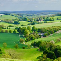 Buy canvas prints of Lush English Countryside at Combe in Wiltshire by Penny Martin